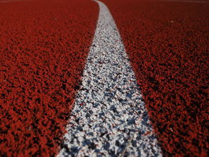 Kaiyun(中国)开云-田径项目专项训练成效显著，田径专项体能训练