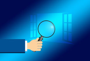 开云官方-青少年运动素养测评系统开始试点运行，青少年素质训练